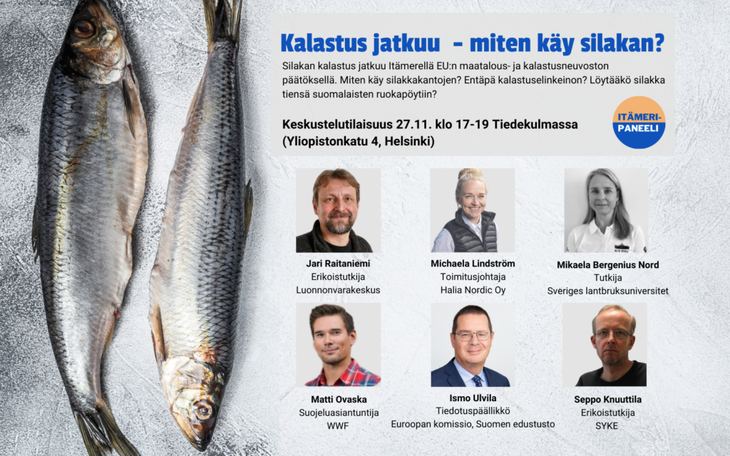 Kuva kahdesta kalasta harmaalla taustalla. Henkilöiden kasvokuvat ja nimet. Jari Raitaniemi, erikoistutkija, Luonnonvarakeskus. Michaela Lindström, toimitusjohtaja, Hailia Nordic Oy. Mikaela Bergenius Nord, tutkija, Sveriges lantbruksuniversitet. Matti Ovaska, suojeluasiantuntija, WWF. Ismo Ulvila, tiedotuspäällikkö, Euroopan komissio, Suomen edustusto. Seppo Knuuttila, erikoistutkija, SYKE.